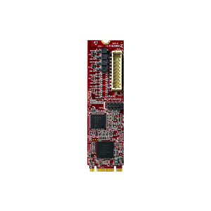 EGPL-G2N3-C1 от InnoDisk